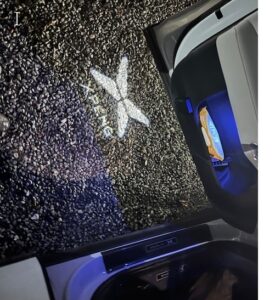 ED Dørlys med Xpeng logo (sæt til 4 døre)